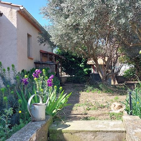 Volx Villa 80 M2 Jardin Terrasse 3 Chambres Provence מראה חיצוני תמונה